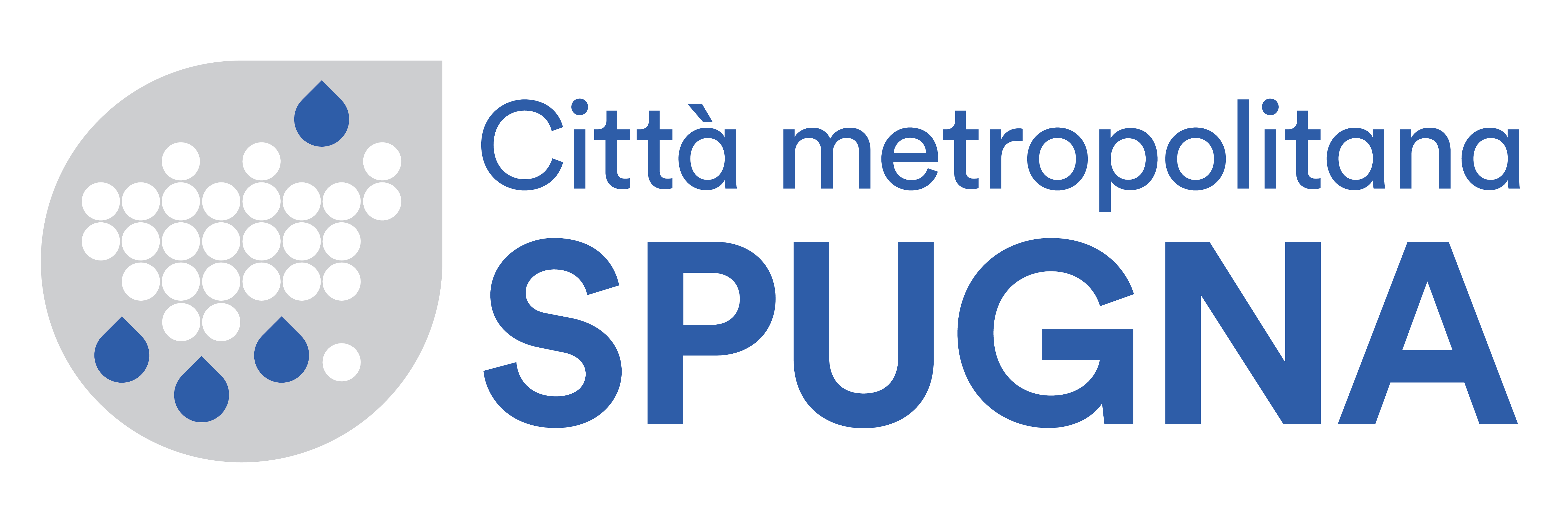 spugna_pagina