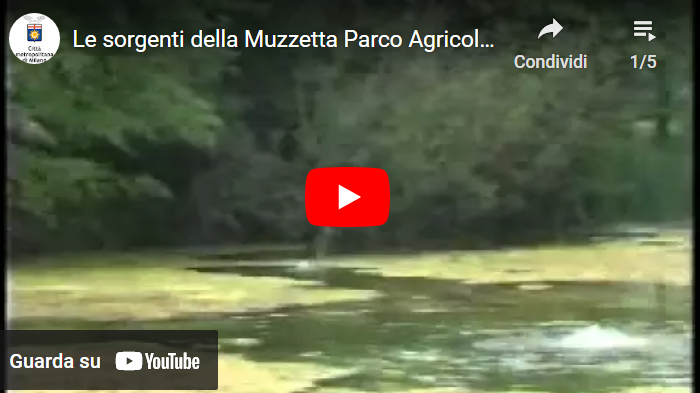 Sorgenti_Muzzetta Sorgenti_Muzzetta