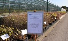 00B_CE_ImmagineInsieme