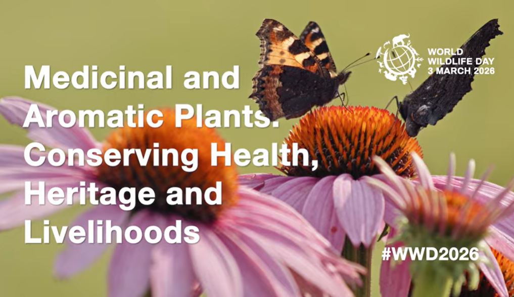 Giornata_FaunaSelvatica2026VIDEO