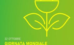 infografica1 infografica1