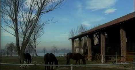 Il Parco agricolo Sud Milano