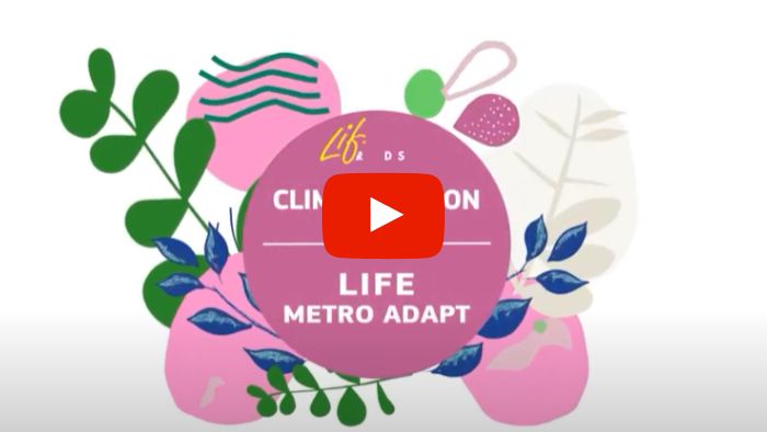 life metro adapt con player