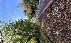 PIEVE_pista ciclabile