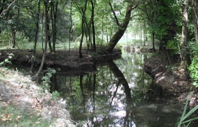 La Riserva Naturale Fontanile Nuovo nel territorio del Parco Agricolo Sud Milano, é un elemento caratteristico del superstite paesaggio lombardo dove si possono osservare flora spontanea e diverse specie di uccelli