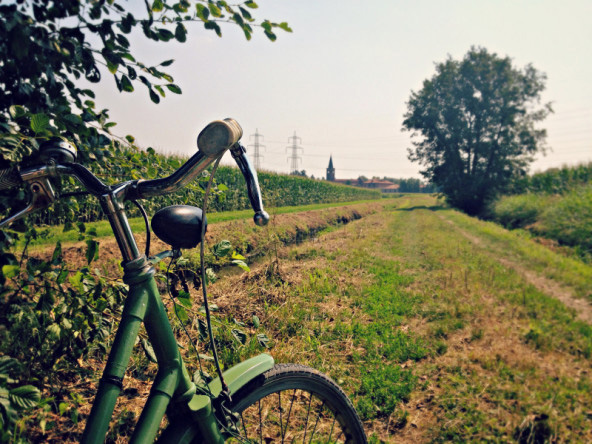 In bici al parco sud