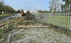 WhatsApp Image 2023-07-24 at 10.33.32 (5) WhatsApp Image 2023-07-24 at 10.33.32 (5)