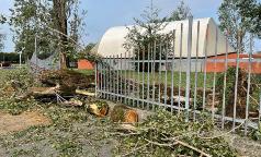 WhatsApp Image 2023-07-24 at 10.33.32 (6) WhatsApp Image 2023-07-24 at 10.33.32 (6)