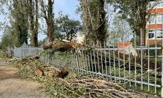 WhatsApp Image 2023-07-24 at 10.33.33 (3) WhatsApp Image 2023-07-24 at 10.33.33 (3)