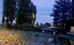 WhatsApp Image 2023-07-24 at 10.33.33 (8) WhatsApp Image 2023-07-24 at 10.33.33 (8)