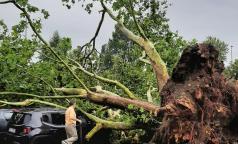 WhatsApp Image 2023-07-24 at 15.54.48 (2) WhatsApp Image 2023-07-24 at 15.54.48 (2)