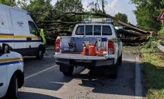 WhatsApp Image 2023-07-25 at 13.18.17 (3) WhatsApp Image 2023-07-25 at 13.18.17 (3)