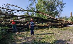 WhatsApp Image 2023-07-25 at 13.18.17 (4) WhatsApp Image 2023-07-25 at 13.18.17 (4)